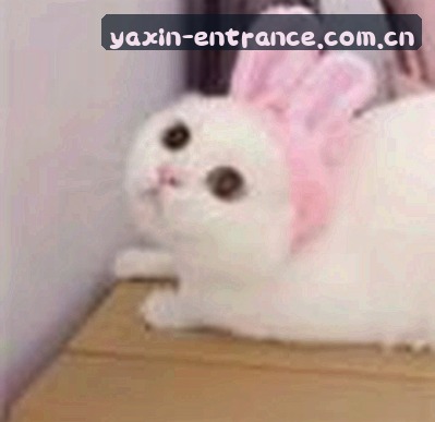 王董